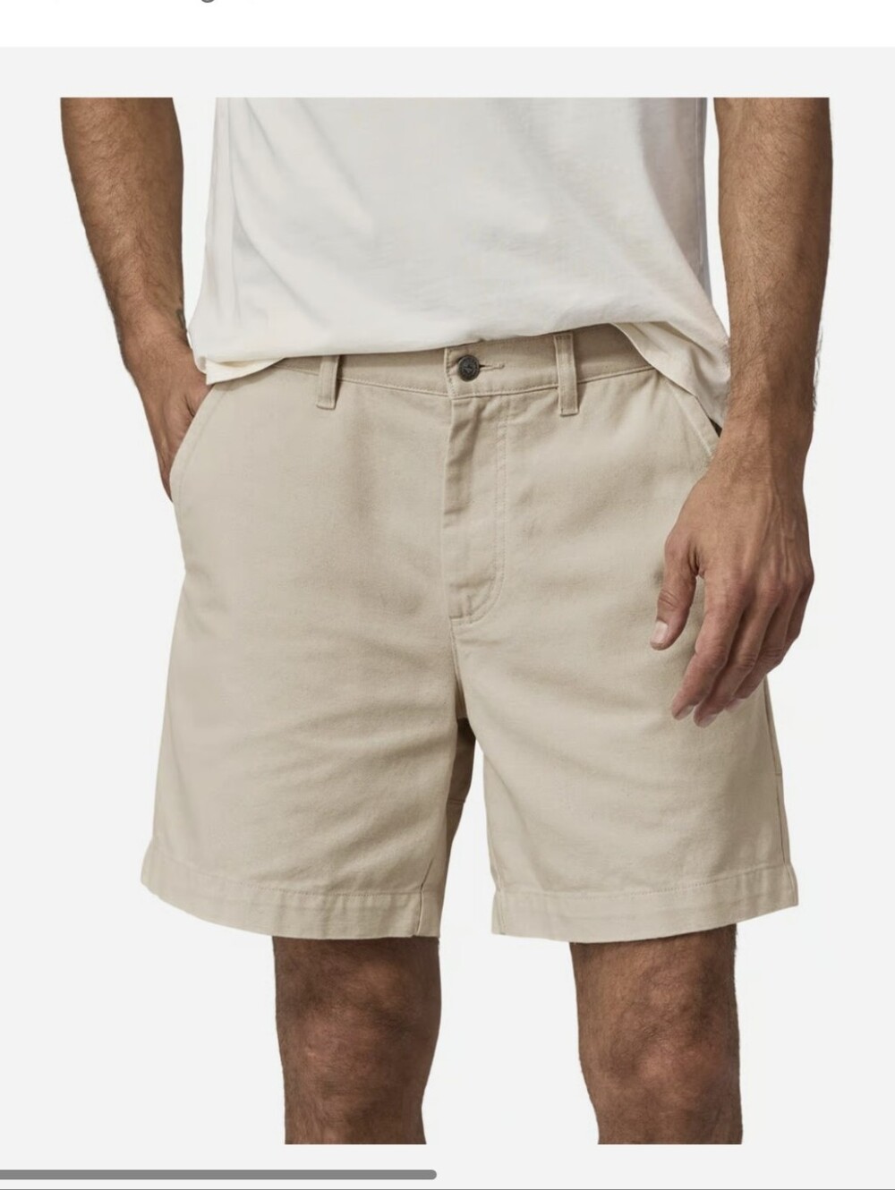 Patagonia Men's Flat Front Shorts in Beige Sz.36
